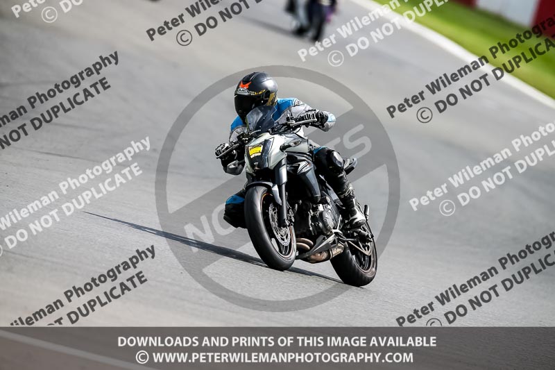 PJ Motorsport 2019;donington no limits trackday;donington park photographs;donington trackday photographs;no limits trackdays;peter wileman photography;trackday digital images;trackday photos